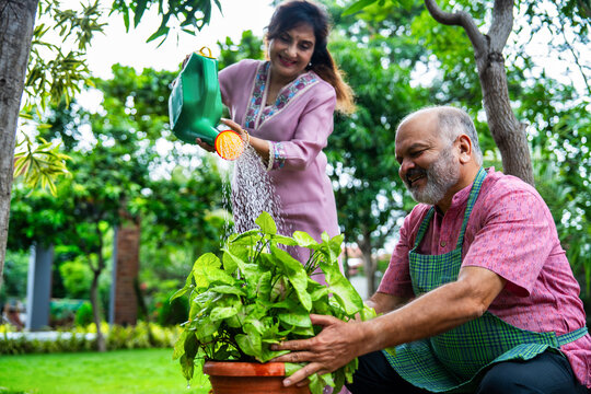Retired Indian couple watering plants together in home garden, enjoying peaceful morning activity - Powered by Adobe
