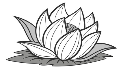  Elegant Lotus Flower Line Drawing Vector