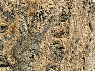Close-up view of textured rock surface highlighting natural patterns and colors