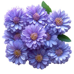 purple flower on transparent background