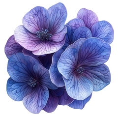 purple flower on transparent background