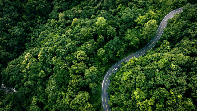Sustainable green concept of Aerial view of a road in the middle of the forest , Car drive on the road between green forest. Ecosystem ecology healthy environment road trip. - Powered by Adobe