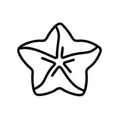 Starfruit Slice Icon Outline Tropical Fruit Line Drawing