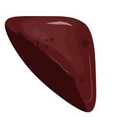 Beef liver illustration,vector beef cut