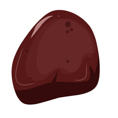Beef liver illustration,vector beef cut