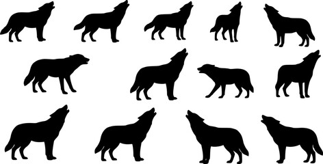 Obraz premium silhouette of wolves, howling and standing, black color, vector art