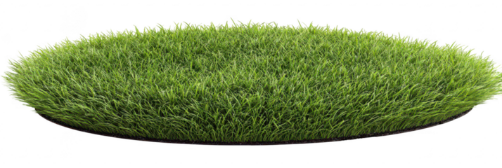 Round patch of vibrant green grass