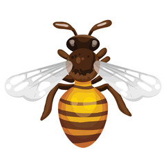 set cartoon bee character with flower honey barrel hive honeycomb vector design