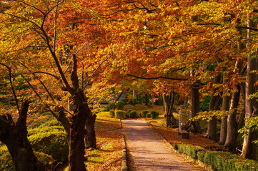 秋田の千秋公園、秋景色