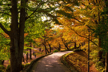 秋田の千秋公園、秋景色