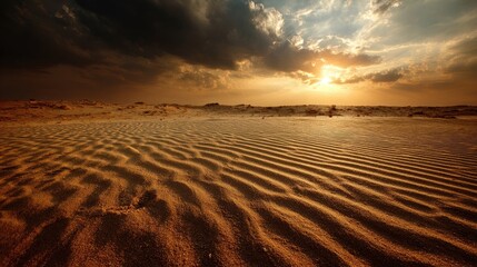 Naklejka premium Golden Desert Sunset with Rippling Sand Dunes