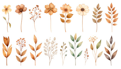 Beautiful watercolor floral and leaf background with golden elements on white background.