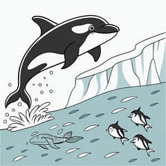 dolphins in the sea
