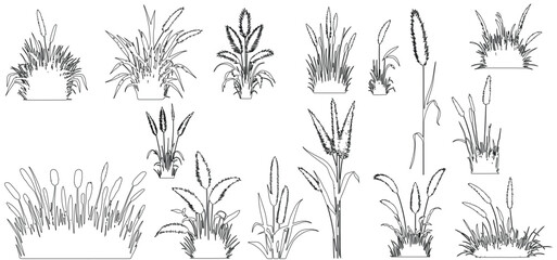 Plant elevation line silhouettes outline - grass, shrub, tree big set vector