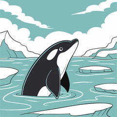 dolphin in the sea