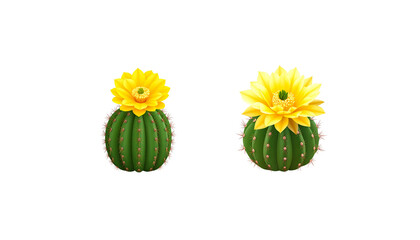 Cactus on white background
