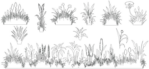 Plant elevation line silhouettes outline - grass, shrub, herb, tree set