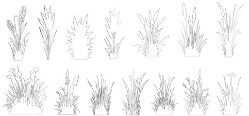 Plant elevation line silhouettes outline - grass, shrub, tree big set vector. isolated on white background
