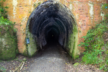 Mysterious Brick Tunnel Surrounded by Nature