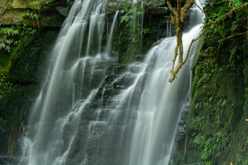 Tranquil Waterfall Surrounded by Lush Greenery