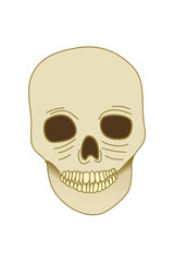 Minimalist Pale Skull Illustration for T-Shirt and Halloween Design