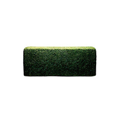 Dark green rectangular hedge