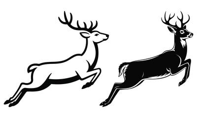 deer vector illustration