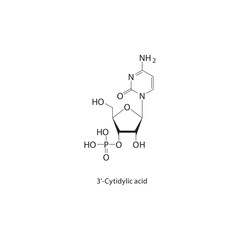 3’-Cytidylic acid skeletal structure. Nucleotide compound schematic illustration. Simple diagram, chemical formula.