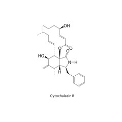 Cytochalasin B skeletal structure. Mycotoxin compound schematic illustration. Simple diagram, chemical formula.