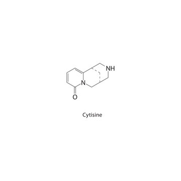 Cytisine skeletal structure. Alkaloid compound schematic illustration. Simple diagram, chemical formula.