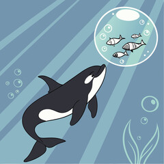vector illustration of a shark