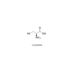 L-Cysteine skeletal structure. Amino acid compound schematic illustration. Simple diagram, chemical formula.