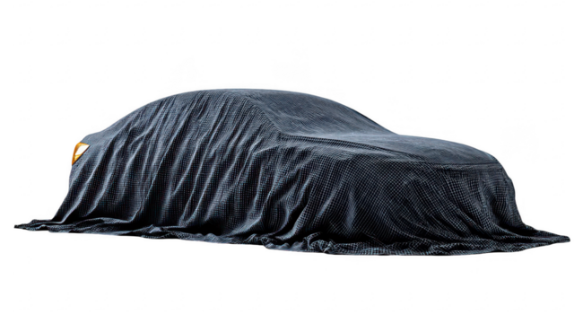 Car shrouded in dark fabric