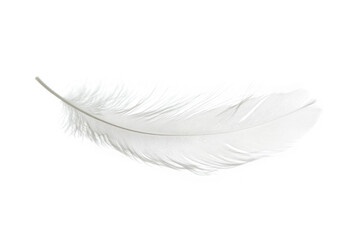 Delicate white feather floating lightly detailed plume bird angelic soft texture isolated element graphic design resource isolated on transparent background