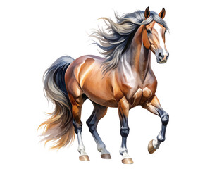 Watercolor Horse with Flowing Mane, Artistic