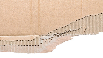 Isolated cut out torn piece of brown corrugated cardboard paper with texture and copy space for text, transparent png background design element