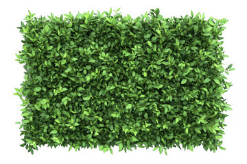 Naklejka premium Realistic green hedge wall png image for garden design, landscaping, and outdoor decor elements, full frame, isolated on transparent background