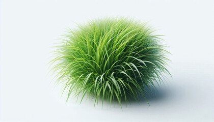 Grass photographed in studio on white background