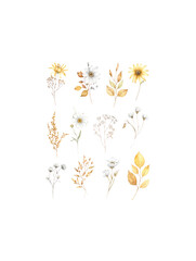 Various leaves with flowers, isolated on white background.