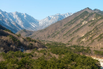 mountain view in winter