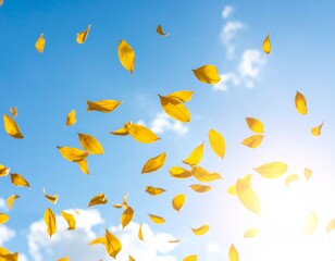 Obraz premium 夏の花びら