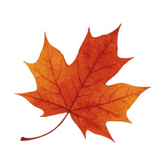 Vector watercolor illustration / 水彩テイストの紅葉イラスト