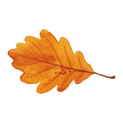 Vector watercolor illustration / 水彩テイストの紅葉イラスト