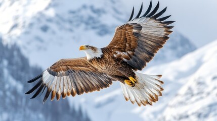 Majestic eagle soaring above snowy peaks.