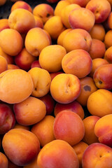 Fresh ripe apricots at a farmers market.