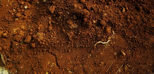 long background, This texture highlights the impact of climate change on land and ecosystems.