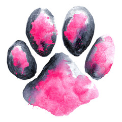 Artistic watercolor paw print with vibrant pink and gray abstract splashes isolated on transparent background
