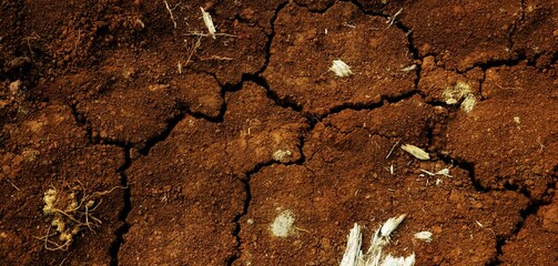 long background, This texture highlights the impact of climate change on land and ecosystems.