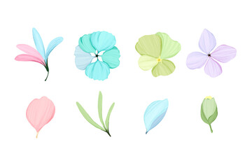 Natural flower painting illustration