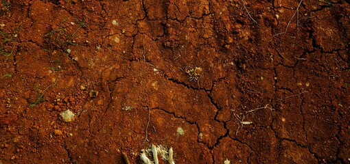 long background, This texture highlights the impact of climate change on land and ecosystems.